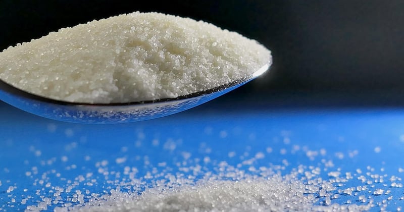 Cuisiner sans sel : 12 alternatives savoureuses qui changent tout