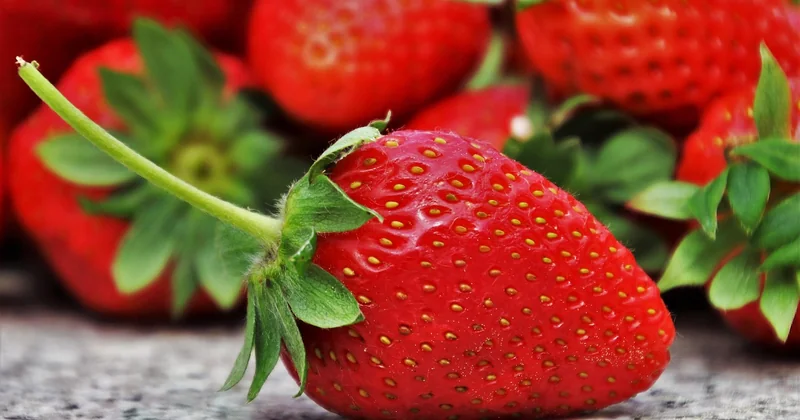 L'alimentation : un effet indirect mais déterminant